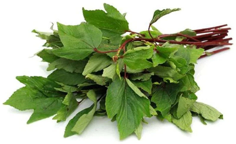 Benefits of gongura leaves and Side Effects