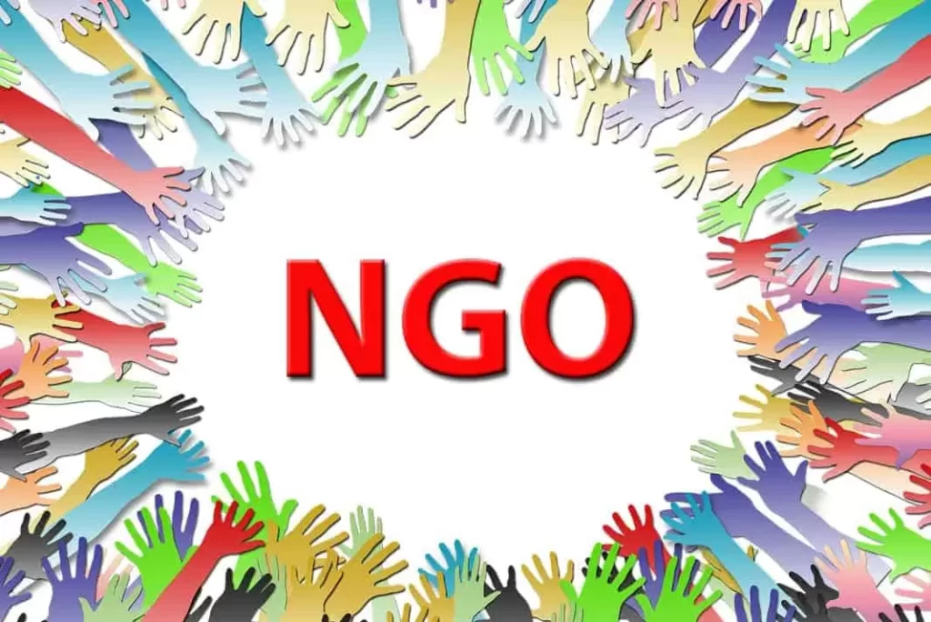 How to Register an NGO in Cameroon: My 5-Year Journey