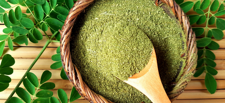 Benefits of moringa leaf and side effects