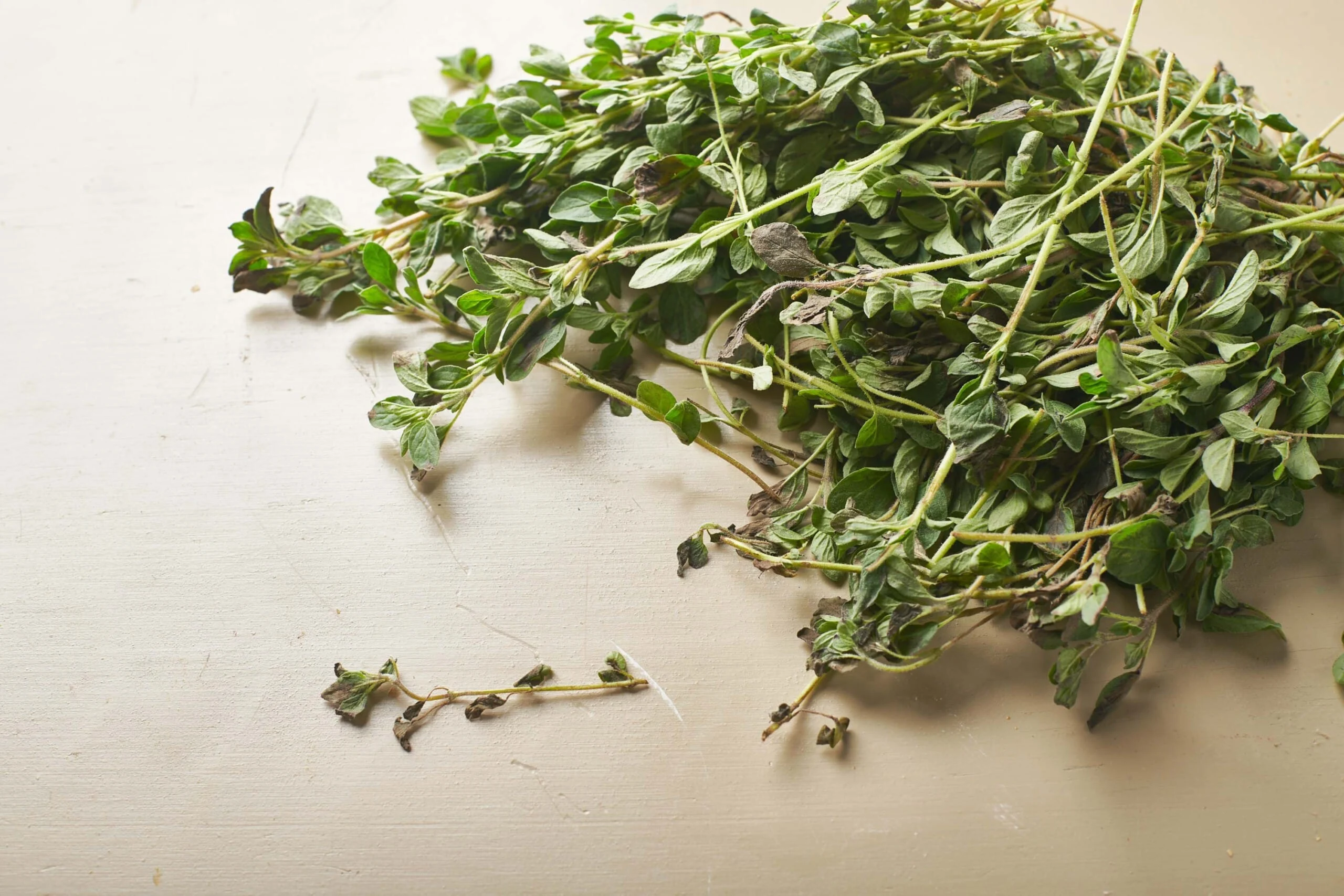 How to use oregano for weight loss