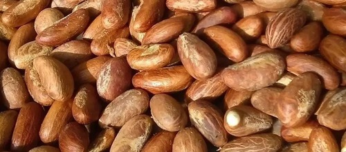 Bitter Kola Benefits